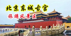 www.性爱中国北京-东城古宫旅游风景区